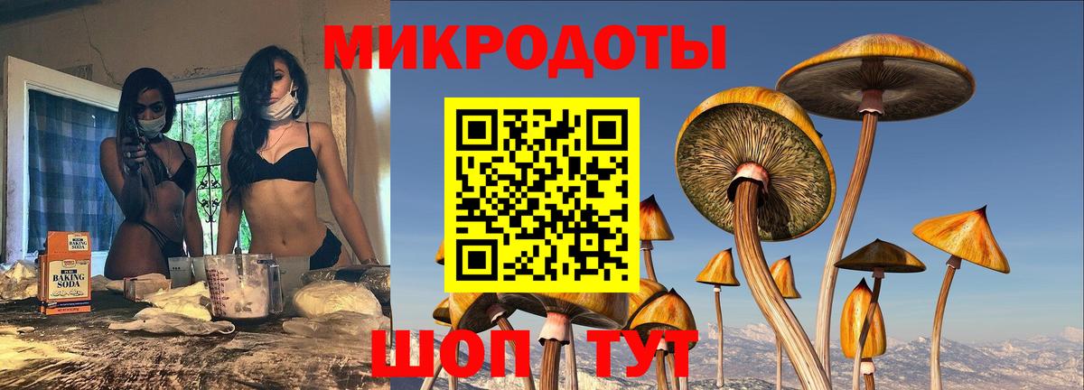 Касимов  Псилоцибиновые грибы мухоморы  Вход с VPN 